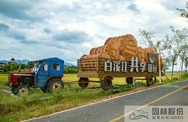 亚洲精品白浆高清久久久久久