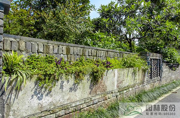 亚洲精品白浆高清久久久久久