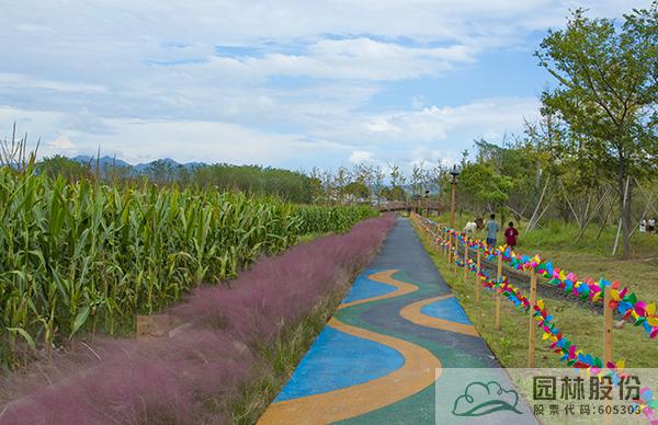 亚洲精品白浆高清久久久久久