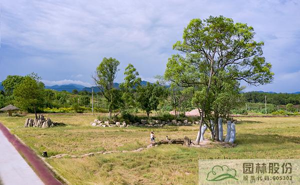 亚洲精品白浆高清久久久久久