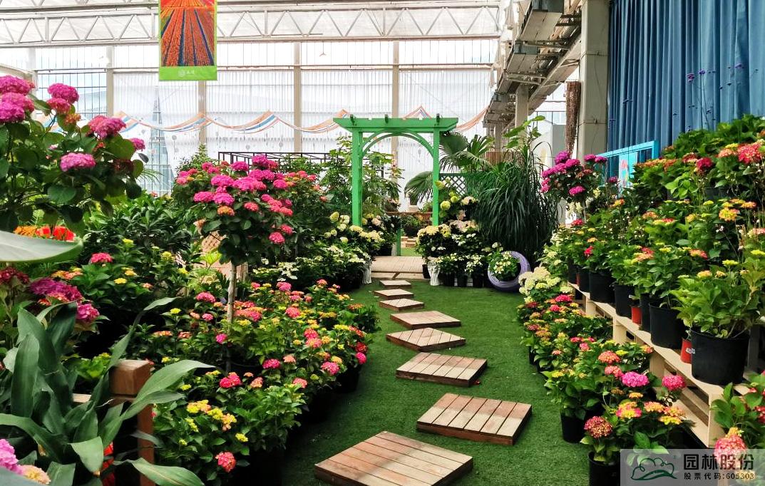 亚洲精品白浆高清久久久久久