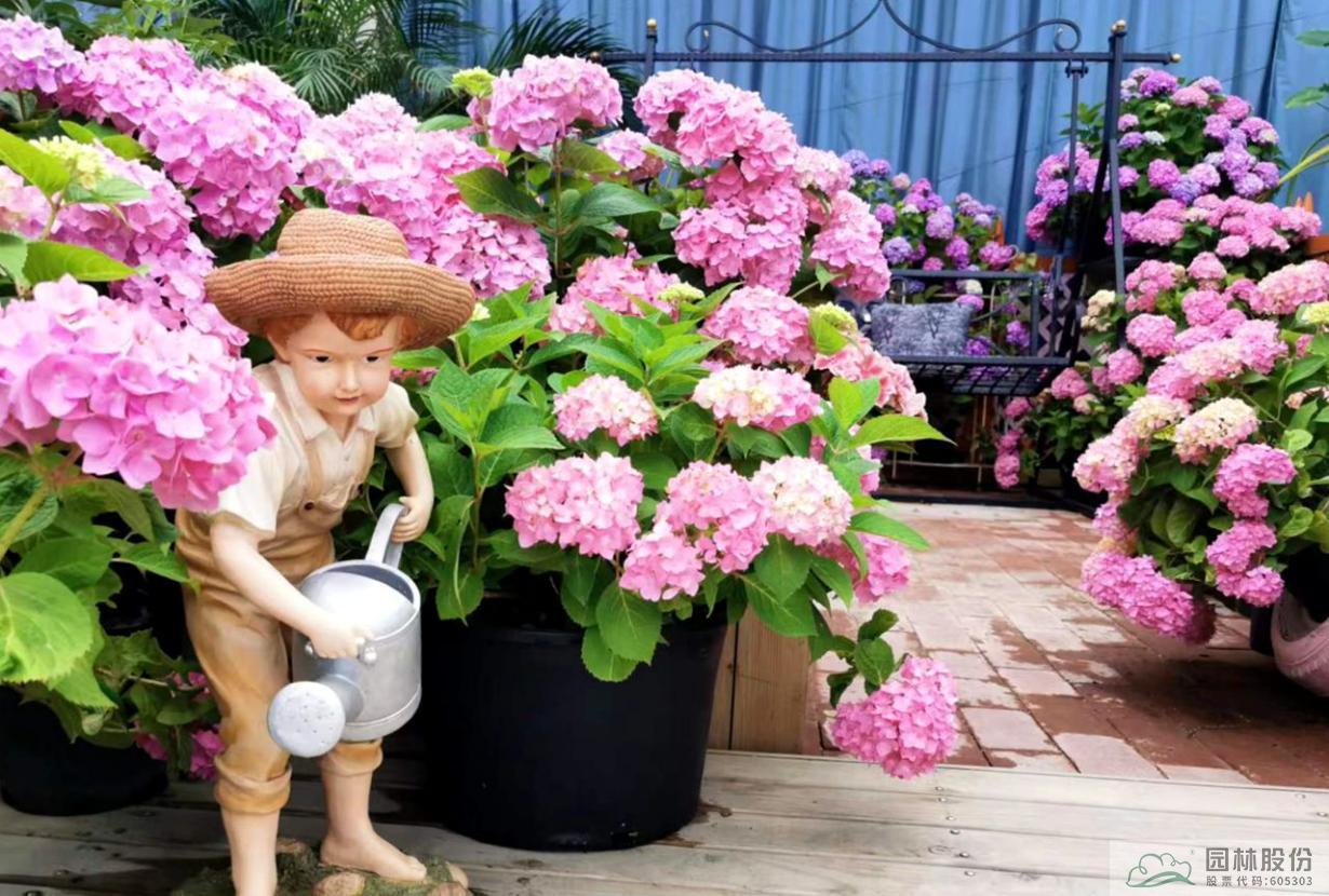 亚洲精品白浆高清久久久久久