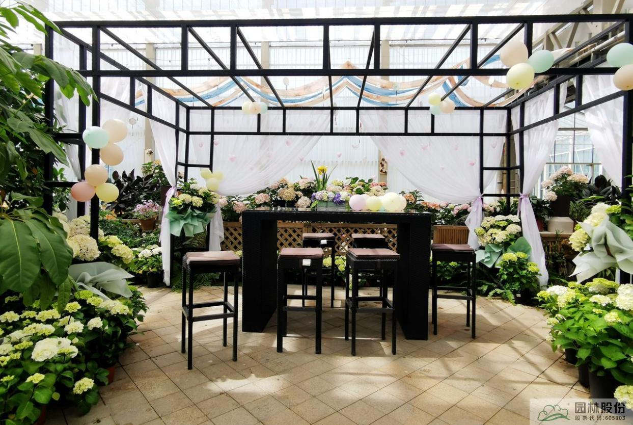 亚洲精品白浆高清久久久久久