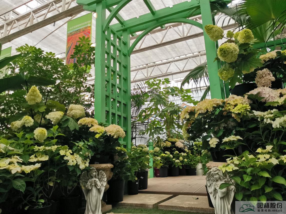 亚洲精品白浆高清久久久久久