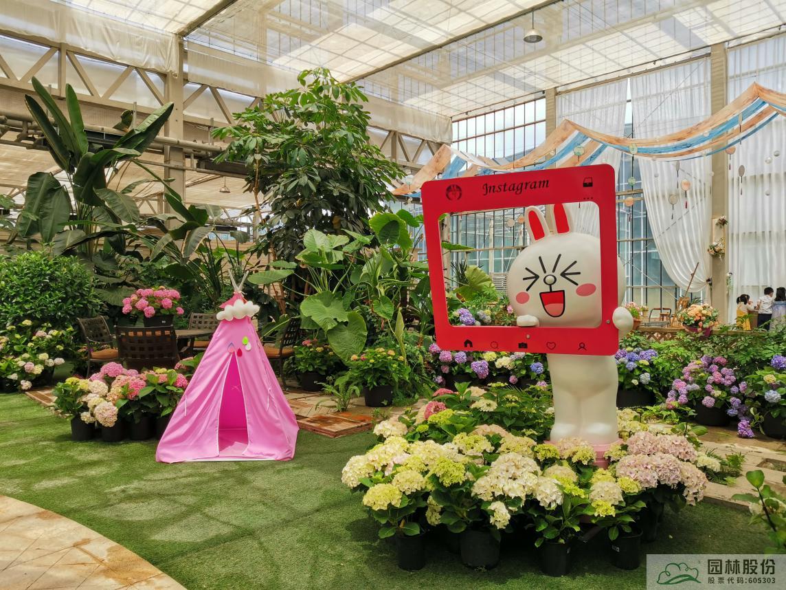 亚洲精品白浆高清久久久久久