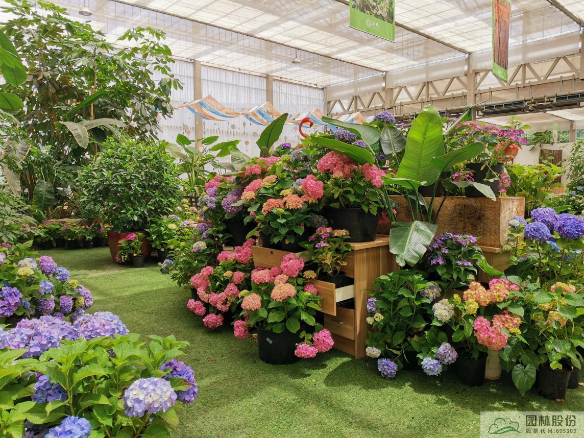 亚洲精品白浆高清久久久久久