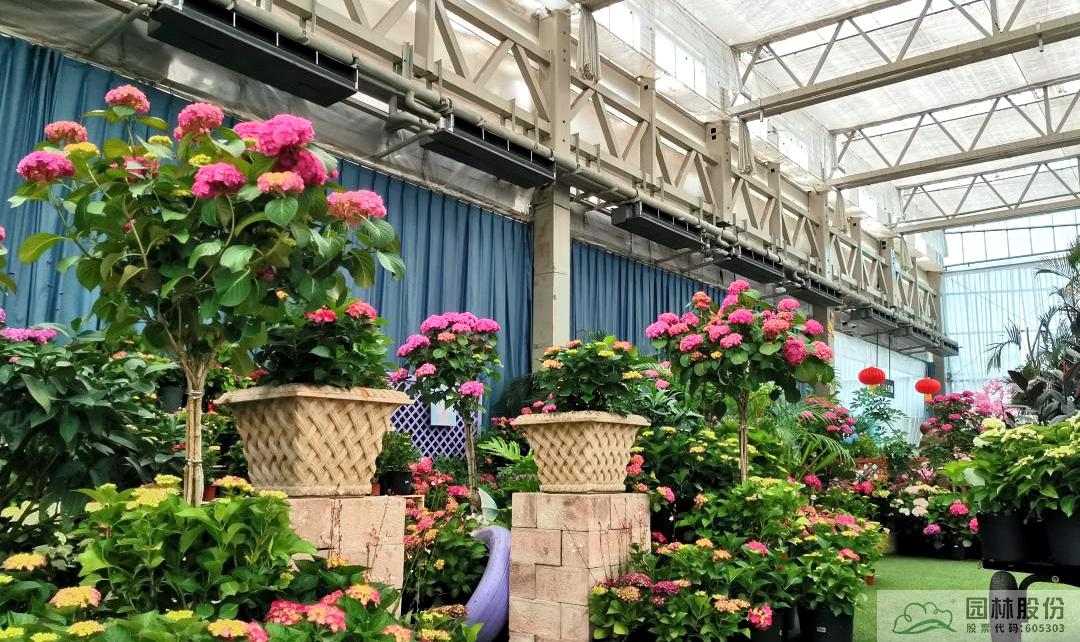 亚洲精品白浆高清久久久久久