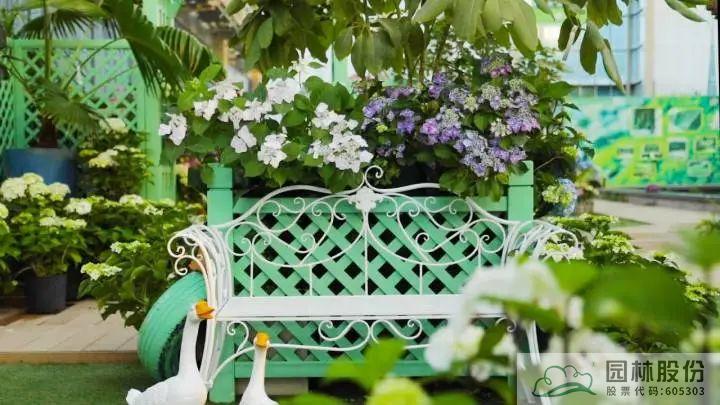 亚洲精品白浆高清久久久久久