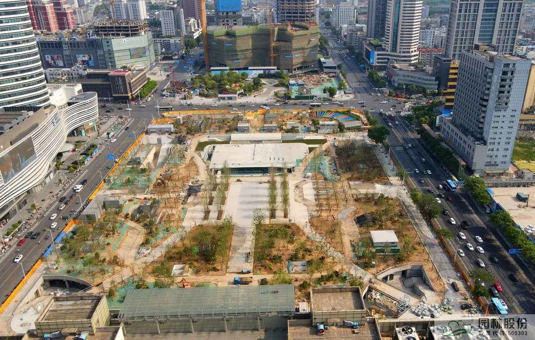 亚洲精品白浆高清久久久久久