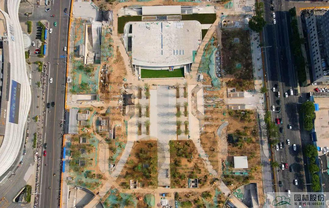 亚洲精品白浆高清久久久久久