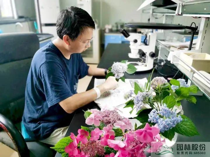 亚洲精品白浆高清久久久久久