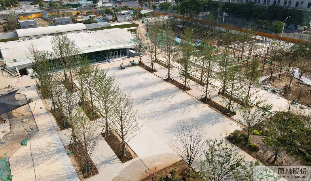 亚洲精品白浆高清久久久久久