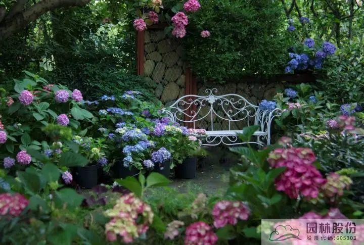 亚洲精品白浆高清久久久久久