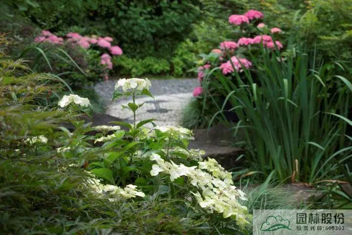 亚洲精品白浆高清久久久久久