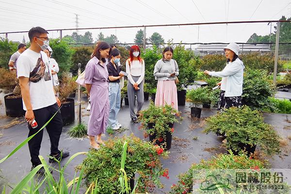 亚洲精品白浆高清久久久久久