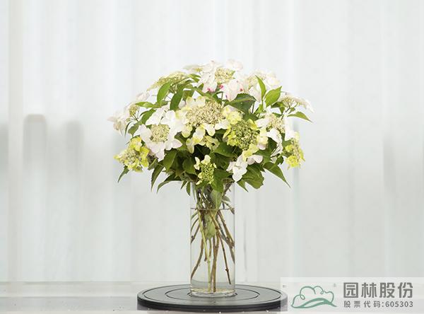 亚洲精品白浆高清久久久久久