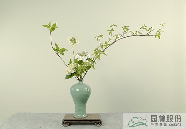 亚洲精品白浆高清久久久久久