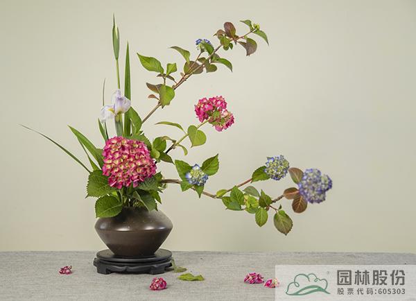 亚洲精品白浆高清久久久久久