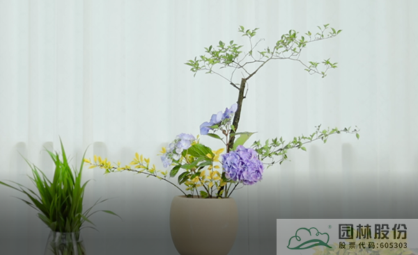 亚洲精品白浆高清久久久久久