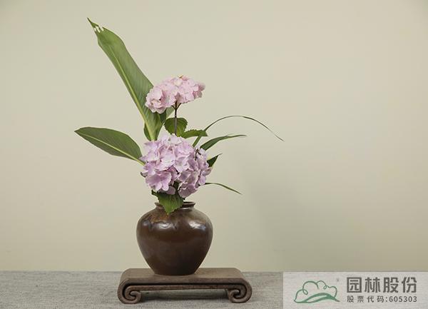 亚洲精品白浆高清久久久久久