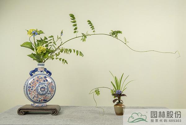 亚洲精品白浆高清久久久久久