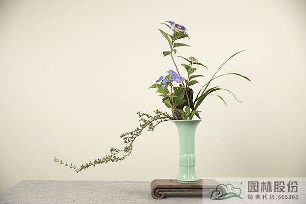 亚洲精品白浆高清久久久久久