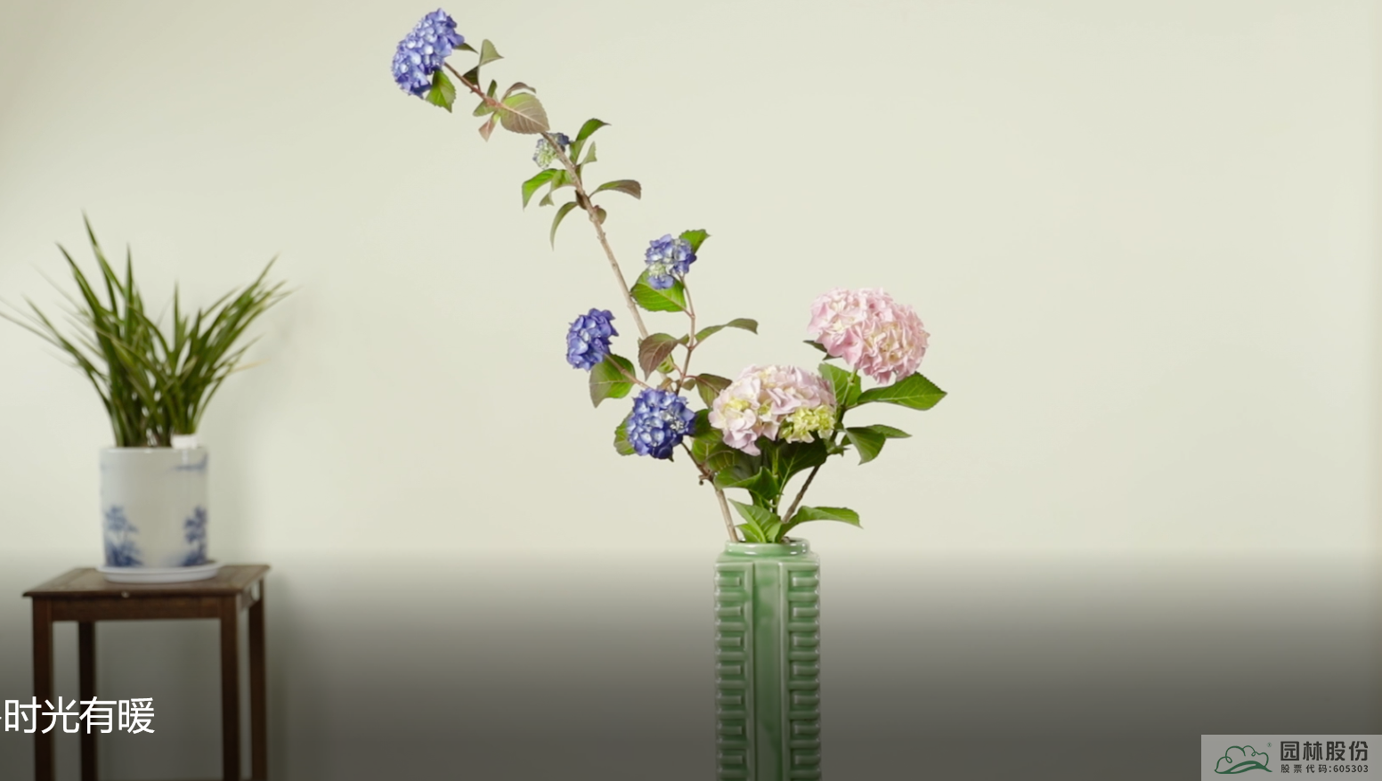 亚洲精品白浆高清久久久久久