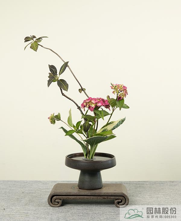 亚洲精品白浆高清久久久久久