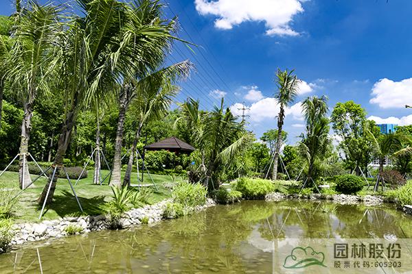 亚洲精品白浆高清久久久久久