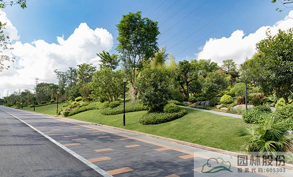 亚洲精品白浆高清久久久久久