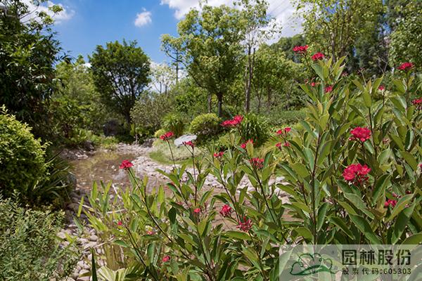 亚洲精品白浆高清久久久久久