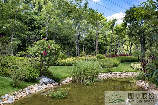 亚洲精品白浆高清久久久久久