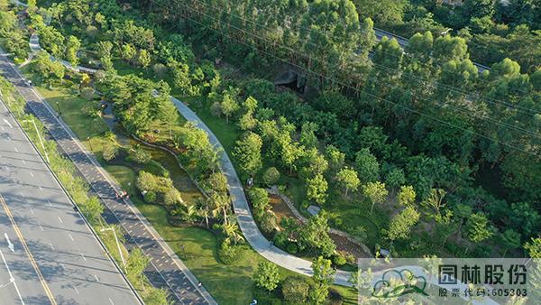 亚洲精品白浆高清久久久久久