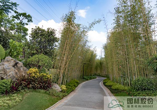 亚洲精品白浆高清久久久久久