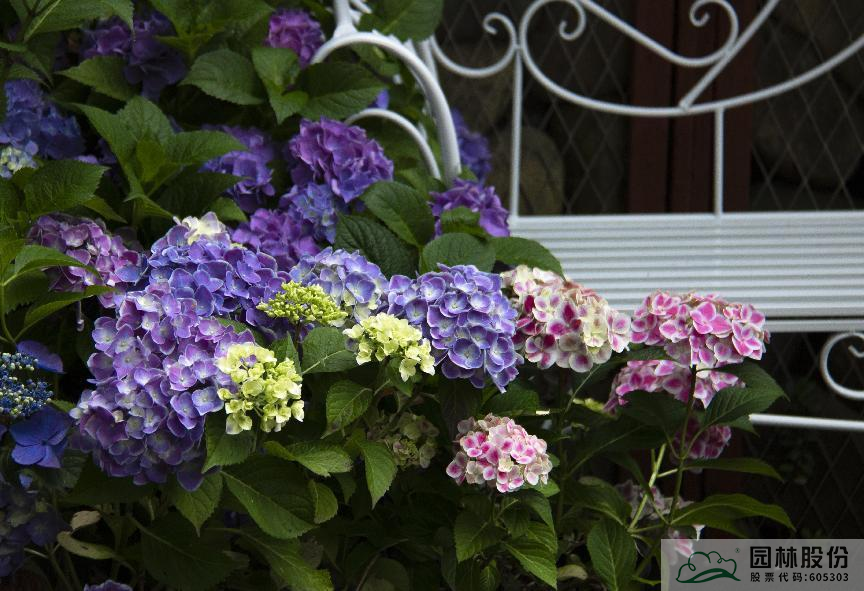 亚洲精品白浆高清久久久久久