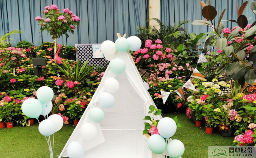 亚洲精品白浆高清久久久久久