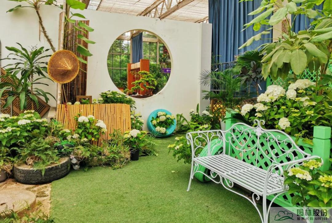 亚洲精品白浆高清久久久久久