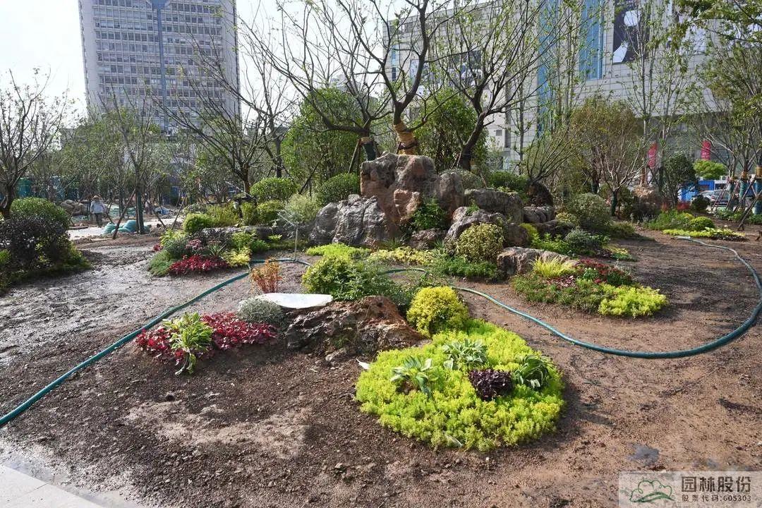 亚洲精品白浆高清久久久久久