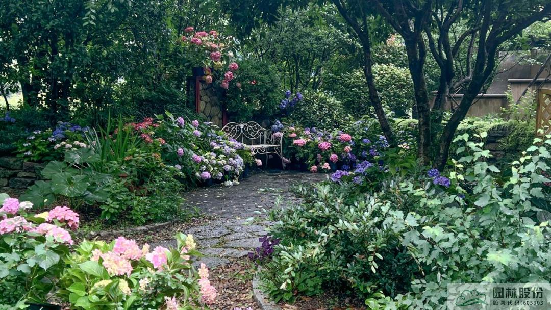 亚洲精品白浆高清久久久久久