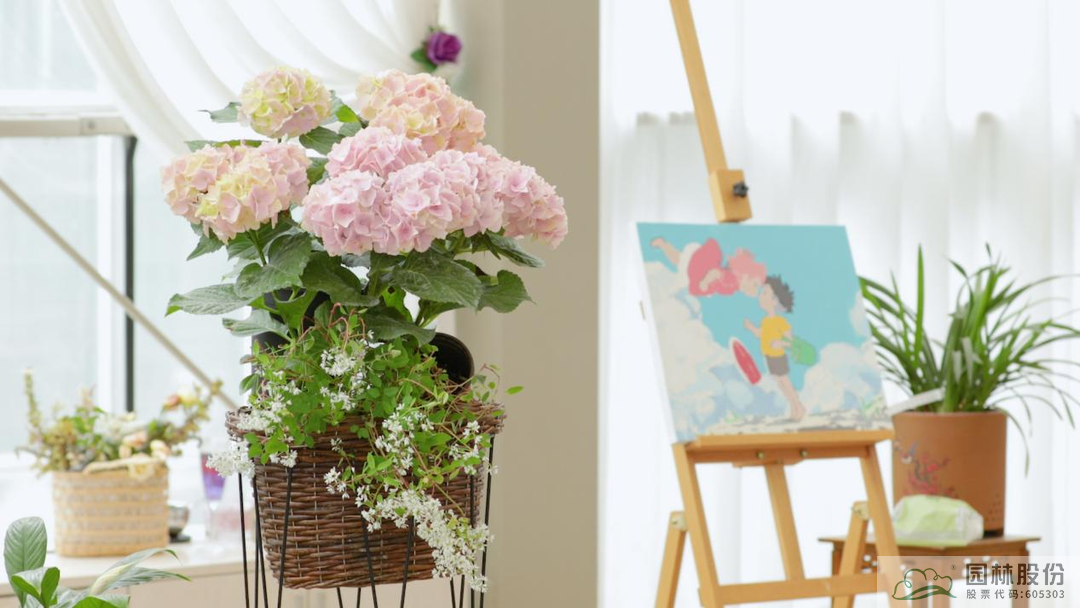 亚洲精品白浆高清久久久久久