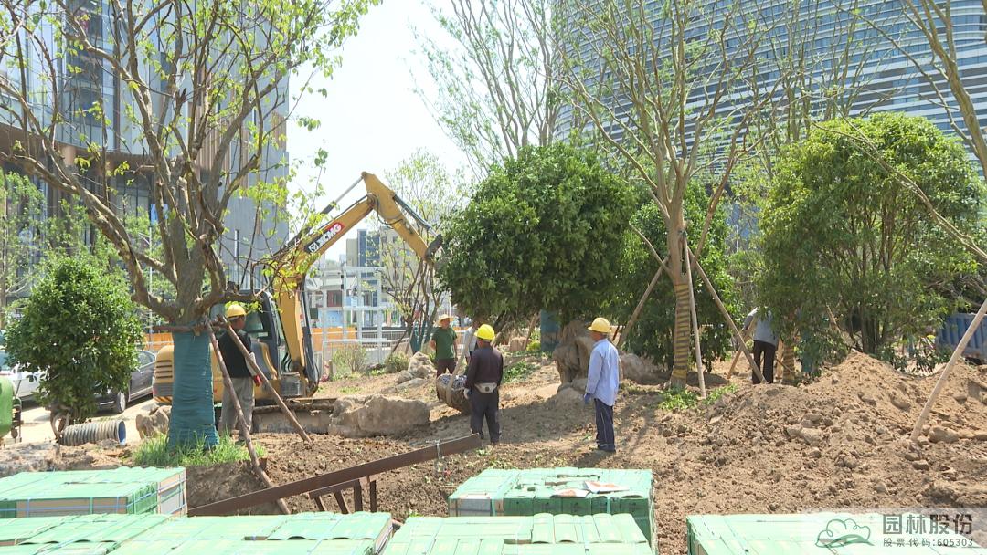 亚洲精品白浆高清久久久久久