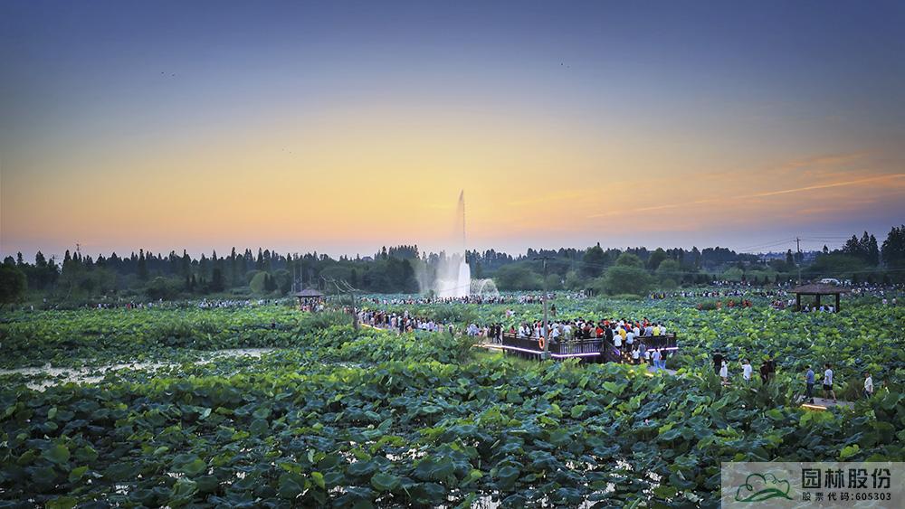 亚洲精品白浆高清久久久久久