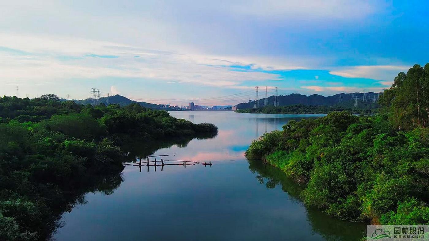 亚洲精品白浆高清久久久久久