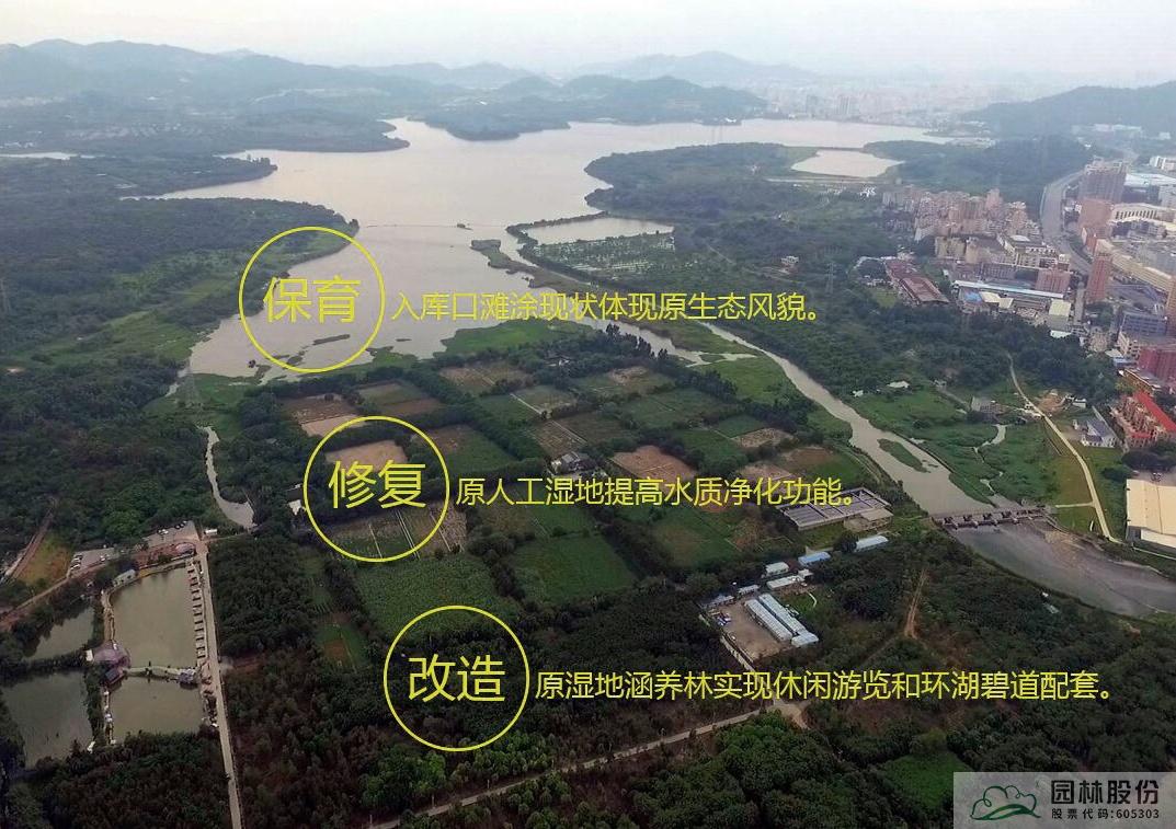 亚洲精品白浆高清久久久久久