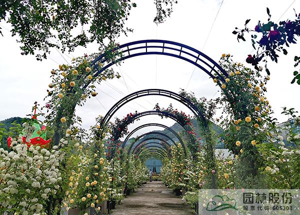 亚洲精品白浆高清久久久久久