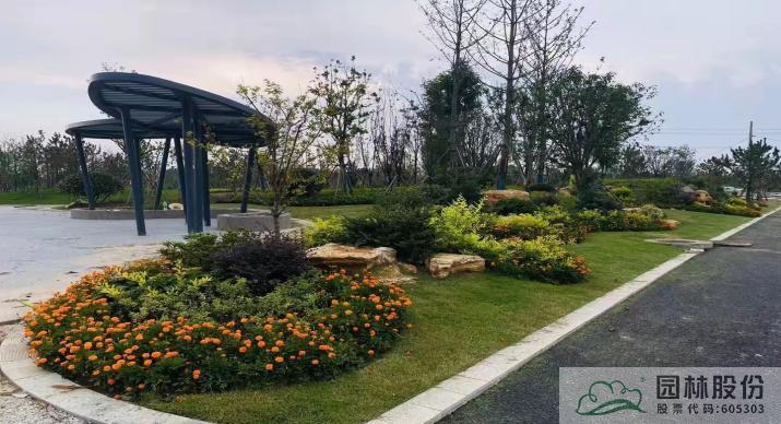 亚洲精品白浆高清久久久久久