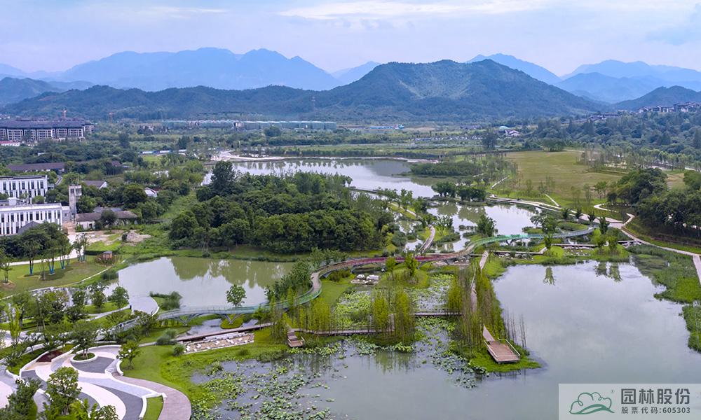 亚洲精品白浆高清久久久久久