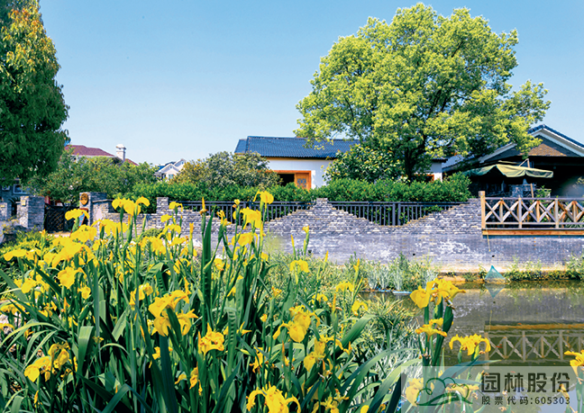 亚洲精品白浆高清久久久久久