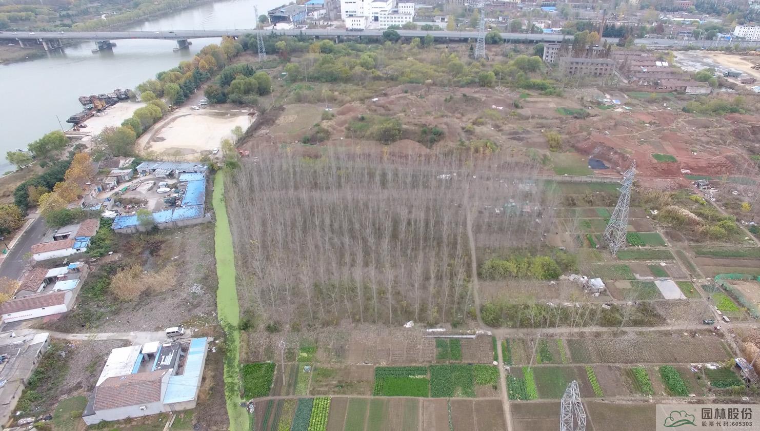 亚洲精品白浆高清久久久久久