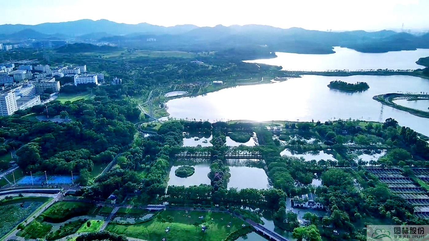 亚洲精品白浆高清久久久久久